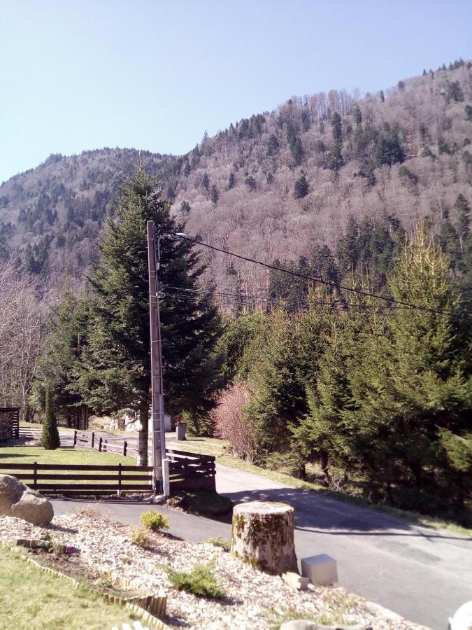 L Annexe Villa Mittlach Exteriör bild